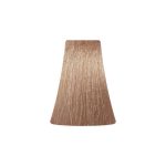BB ONE, Перманентная крем-краска для волос Picasso Colour Range 10/13, 100 мл