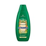 Шампунь для волос и гель для душа Schauma "Баня" 2 в 1 750мл