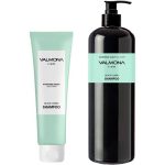 Evas Valmona Шампунь для волос Аюрведа Ayurvedic Scalp Solution Black Cumin Shampoo