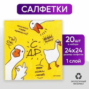 Салфетки бумажные однослойные «Гуси», 24 x 24 см, в наборе 20 шт